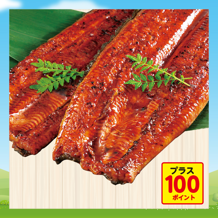 929.うなぎ蒲焼 2尾入【原料原産地：静岡県他】 商品サムネイル